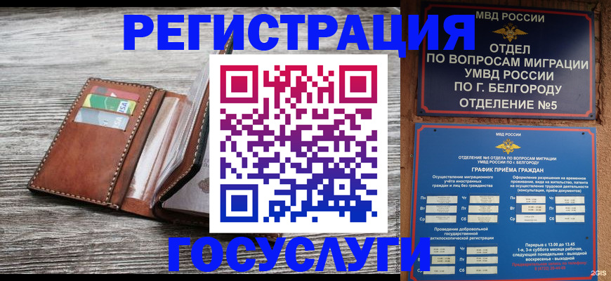временная регистрация гарантия в Михайловке
